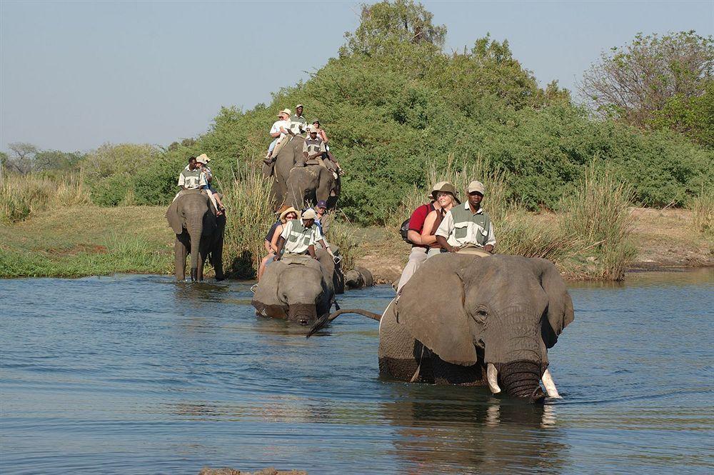 Three Cities Thorntree River Lodge Livingstone Dış mekan fotoğraf