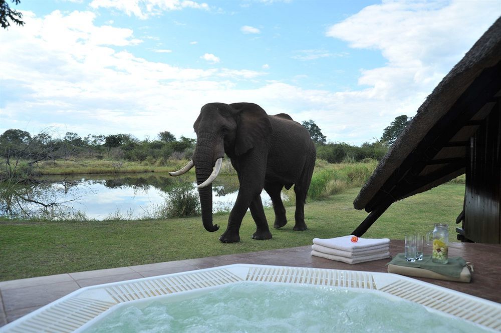 Three Cities Thorntree River Lodge Livingstone Dış mekan fotoğraf